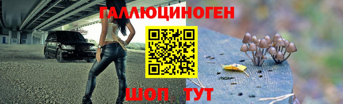 Бузулук  Галлюциногенные грибы Magic Shrooms  Вход с VPN 